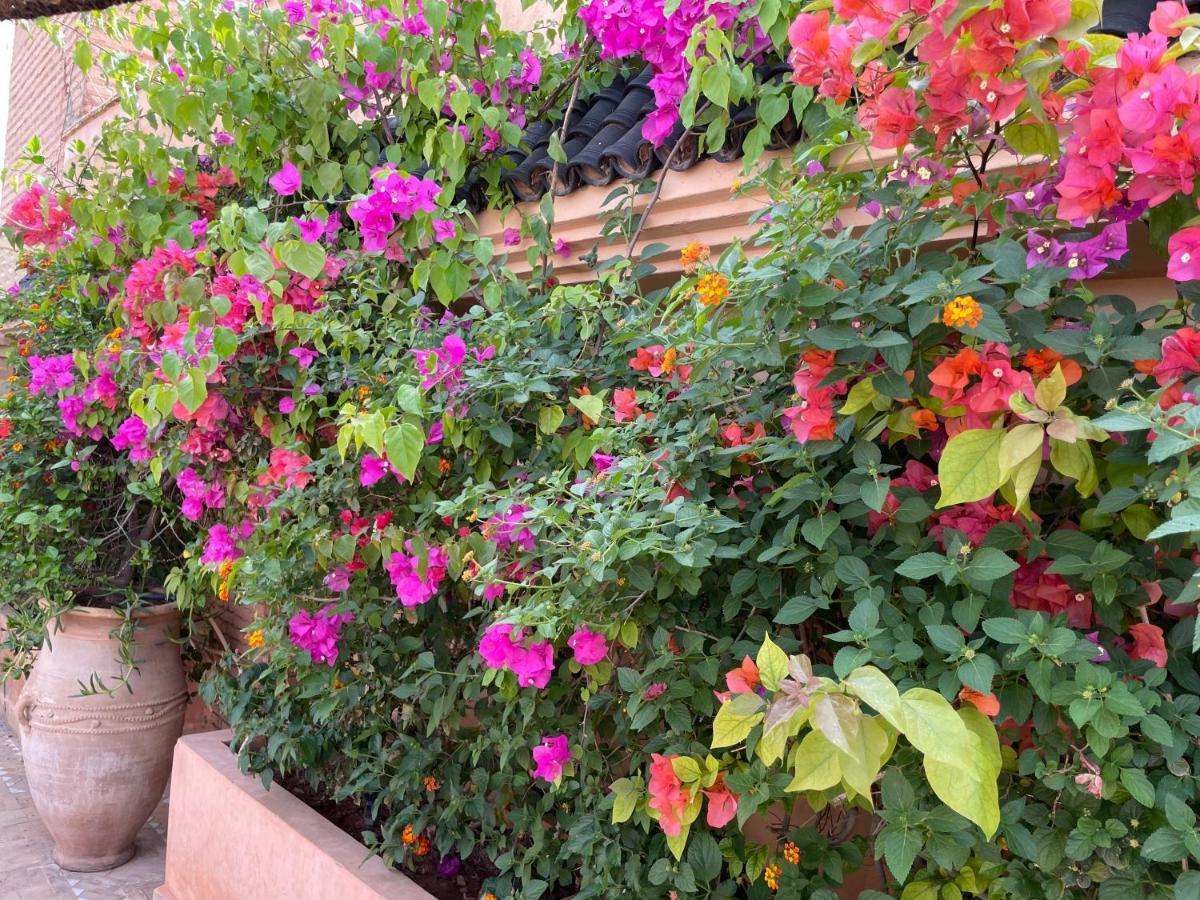Riad Zouhour マラケシュ エクステリア 写真