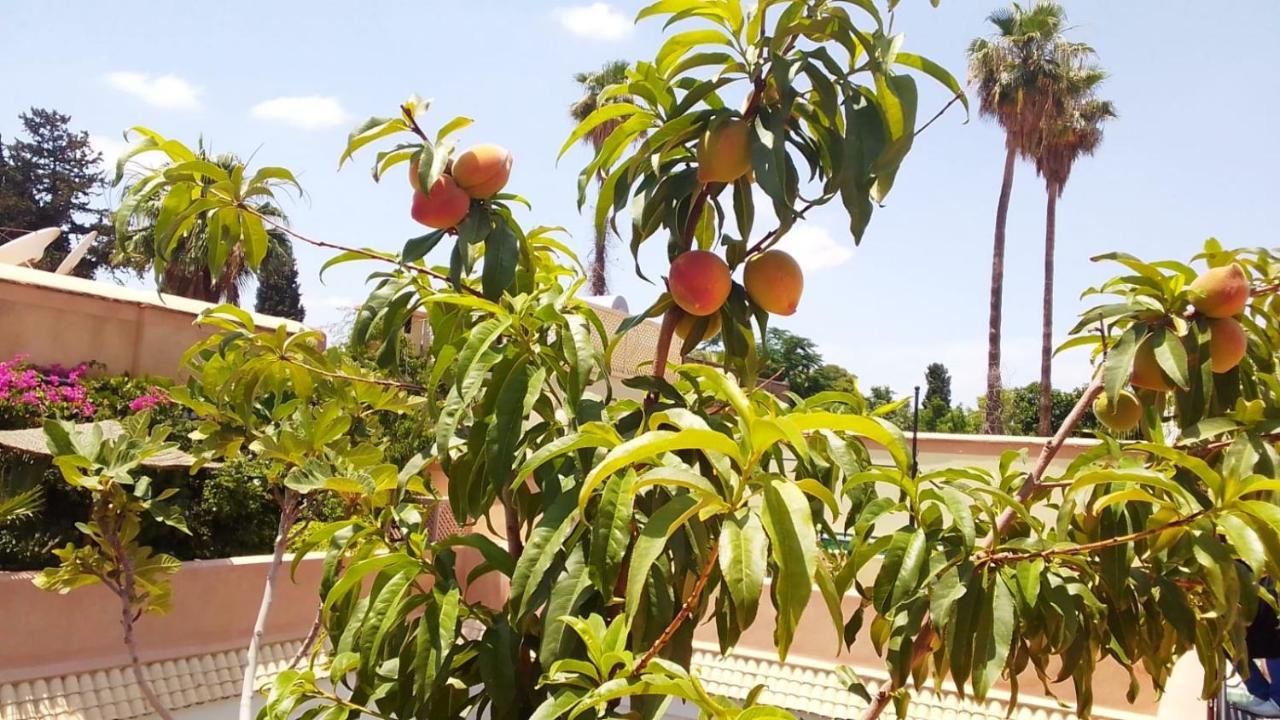 Riad Zouhour マラケシュ エクステリア 写真