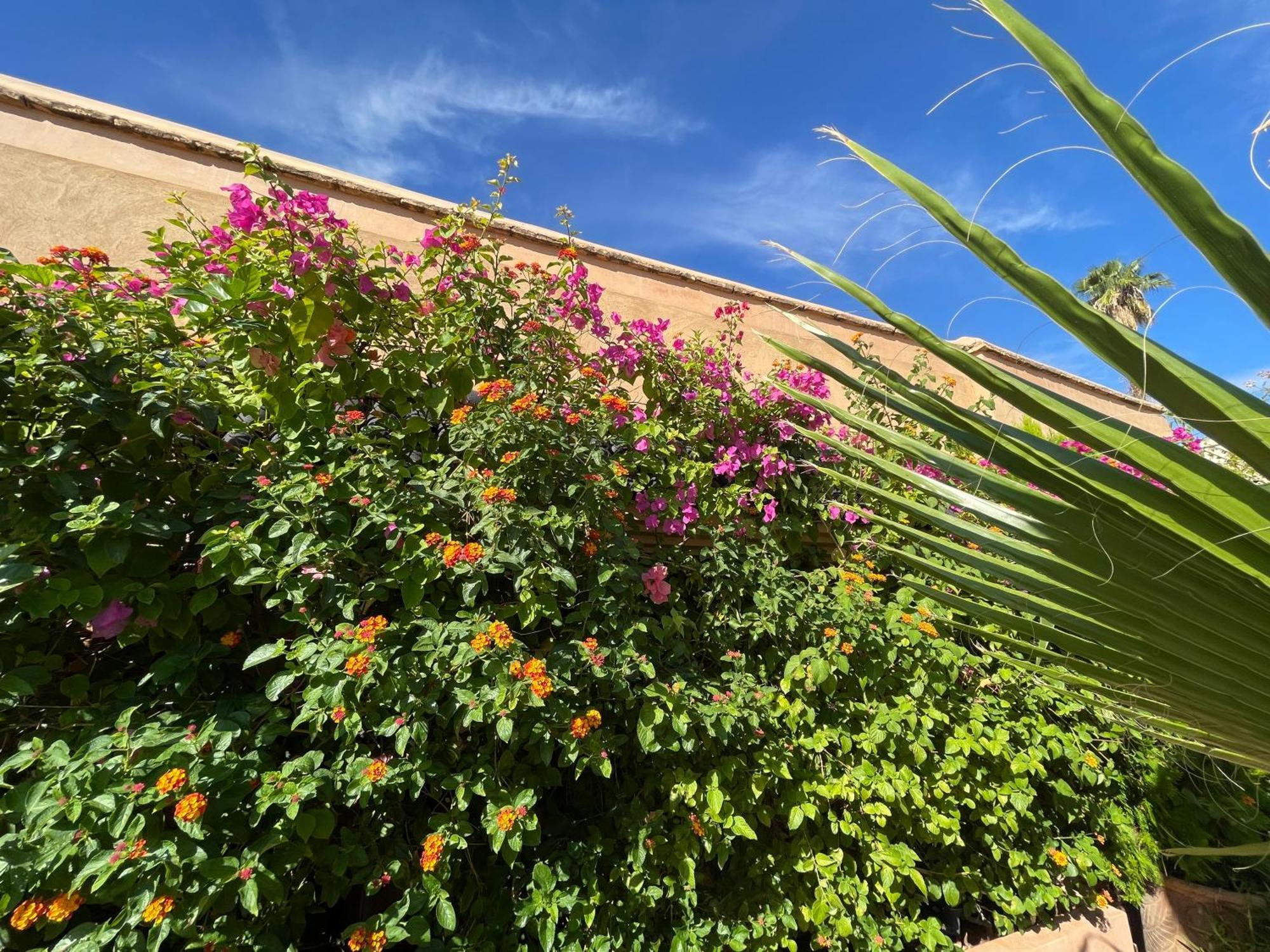 Riad Zouhour マラケシュ エクステリア 写真